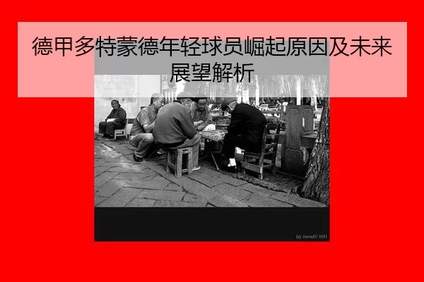 de-jia-duo-te-meng-de-nian-qing-qiu-yuan-jue-qi-yuan-yin-ji-wei-lai-zhan-wang-jie-xi-3-230.jpg